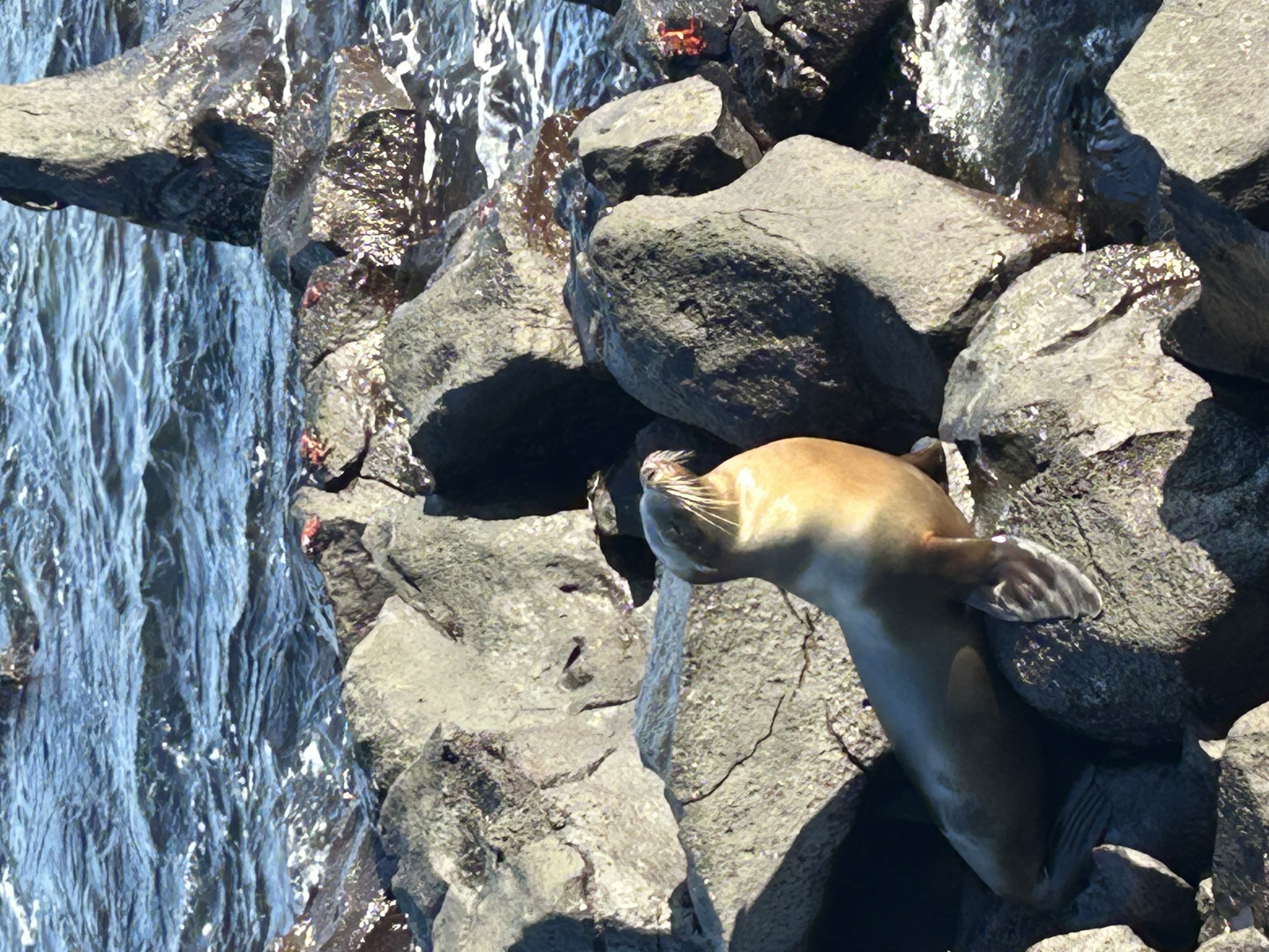 Itinerario de Aventura BuenaVida Galápagos